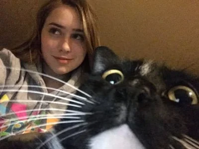 15 разів, коли коти влазили у кадр, хоча їх ніхто не просив - фото 845964