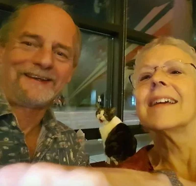 15 разів, коли коти влазили у кадр, хоча їх ніхто не просив - фото 845965