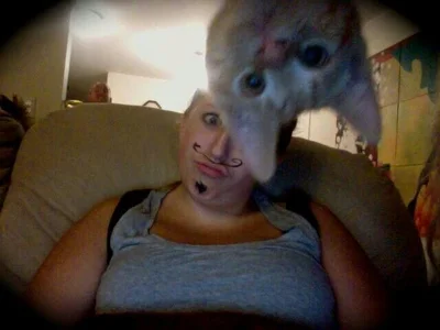 15 разів, коли коти влазили у кадр, хоча їх ніхто не просив - фото 845966