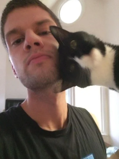 15 разів, коли коти влазили у кадр, хоча їх ніхто не просив - фото 845967