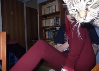 15 разів, коли коти влазили у кадр, хоча їх ніхто не просив - фото 845974