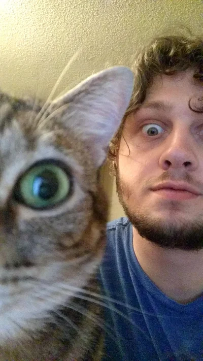 15 разів, коли коти влазили у кадр, хоча їх ніхто не просив - фото 845975