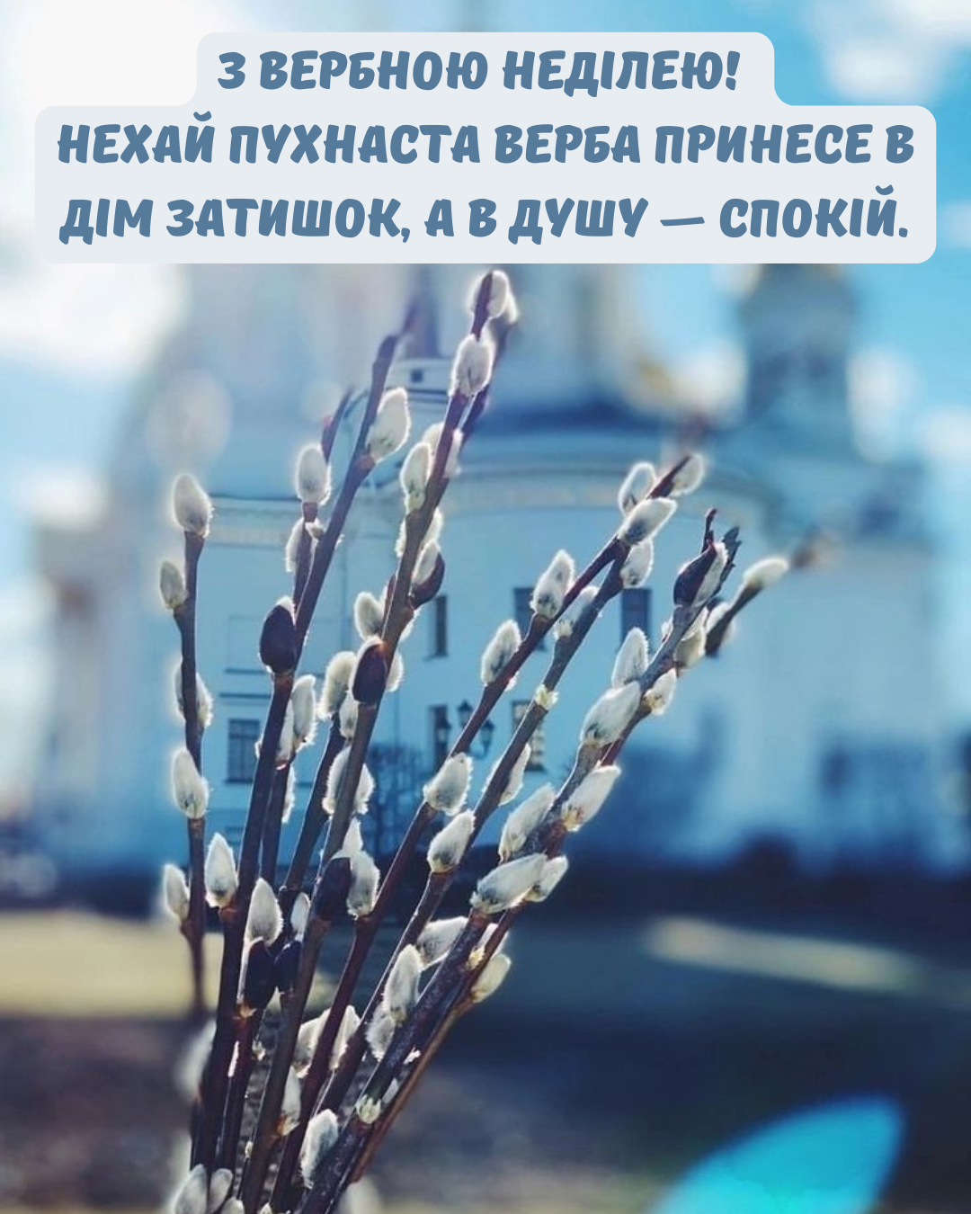 Самые теплые поздравления и картинки с Вербным воскресеньем для твоих родных - 846192 Самые теплые поздравления и картинки с Вербным воскресеньем для твоих родных - фото 846192