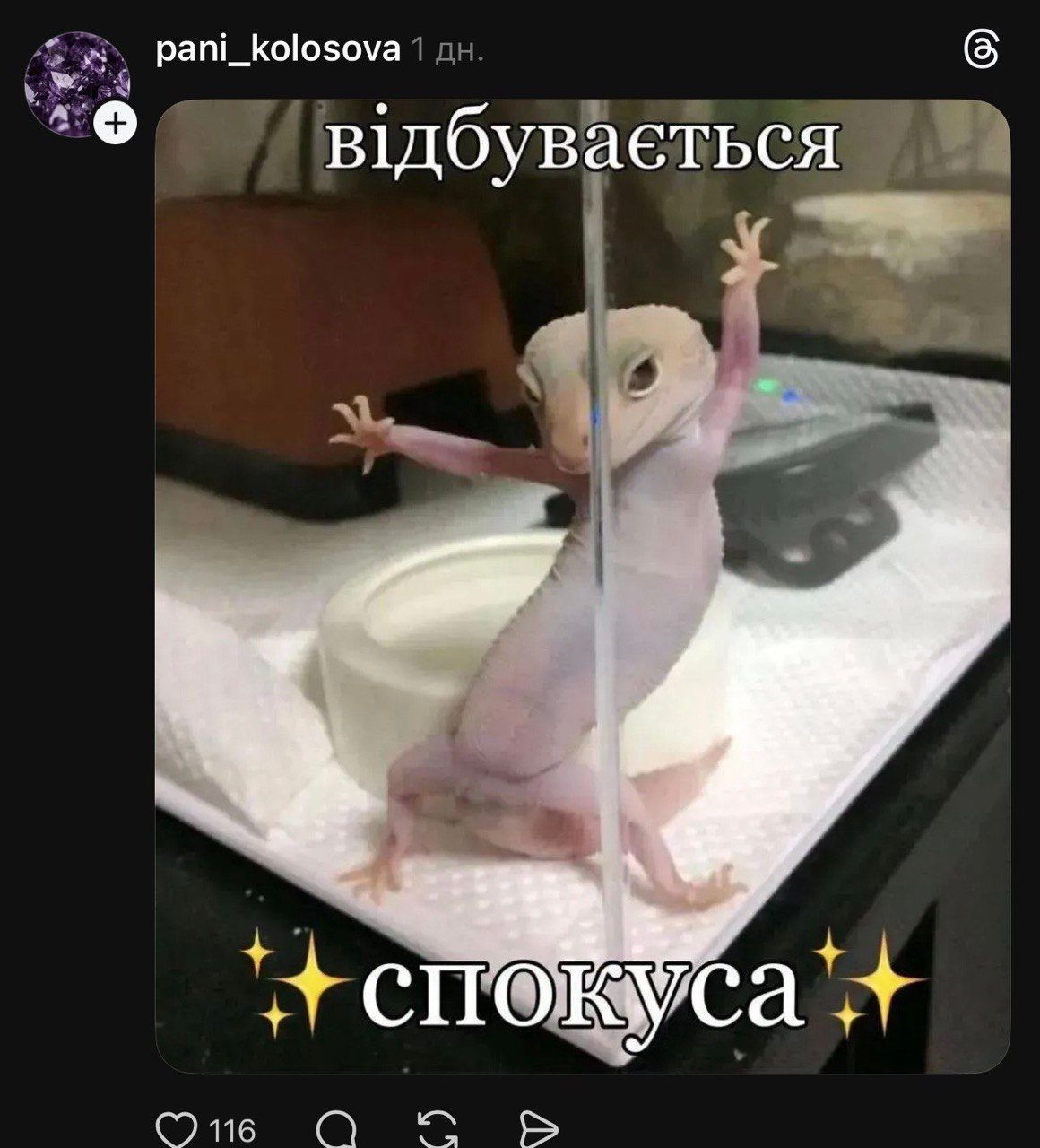 Чоловік Олі Полякової Вадік Буряковський, Леся Нікітюк та меми - 846328 Чоловік Олі Полякової Вадік Буряковський, Леся Нікітюк та меми - фото 846328