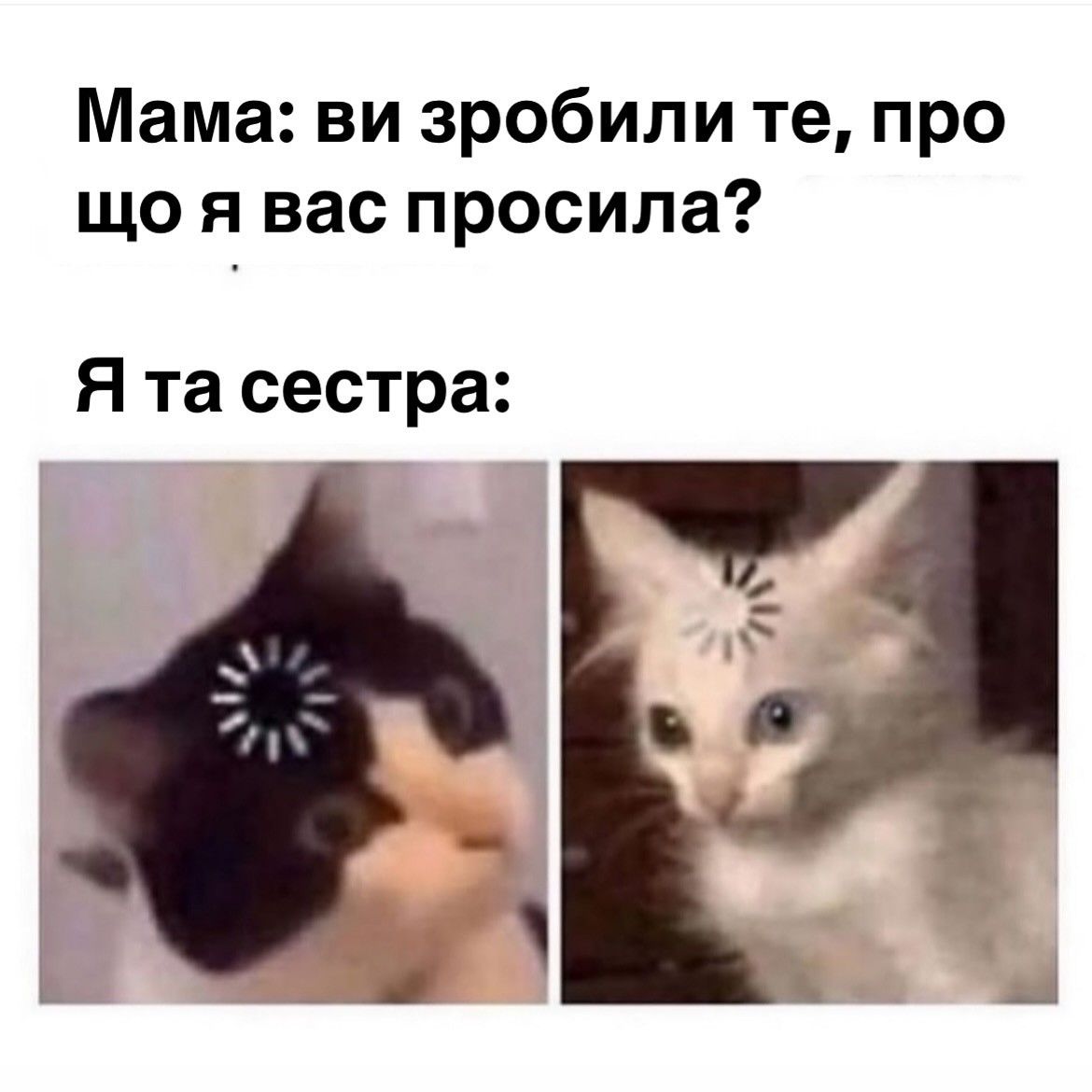 Смешные мемы про братьев и сестер, или как выжить, когда ты не один ребенок в семье - фото 846421