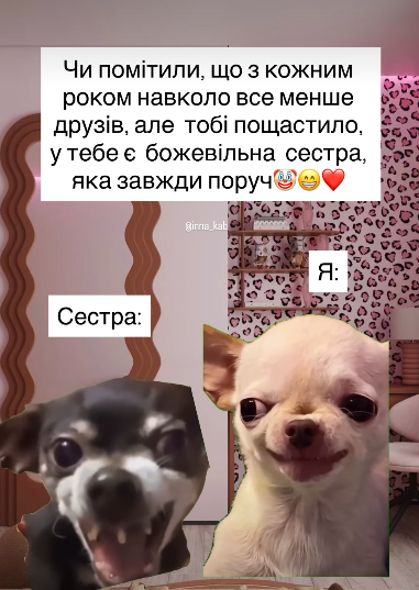 Смешные мемы про братьев и сестер, или как выжить, когда ты не один ребенок в семье - фото 846423