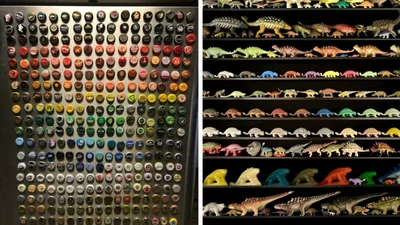 Люди демонструють свої колекції, і деякі справді дивні - від комарів, вусів кота до калькуляторів