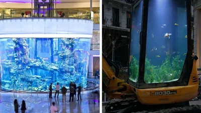 20 настільки крутих акваріумів, що навіть риби вражені