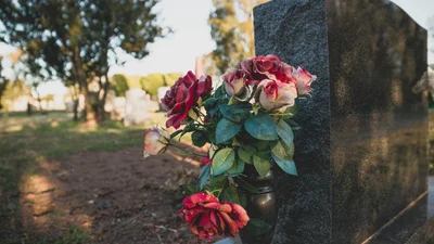 Проводи 2026: що не можна робити на цвинтарі, щоб не розгнівати душі предкі