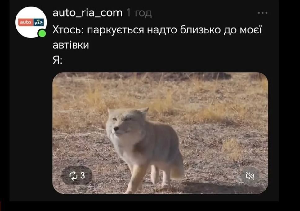 Недовольная тибетская лиса заполонила сеть, и это очень смешно: лучшие мемы - фото 848661