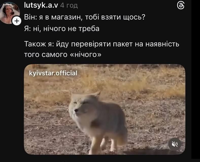 Недовольная тибетская лиса заполонила сеть, и это очень смешно: лучшие мемы - фото 848667