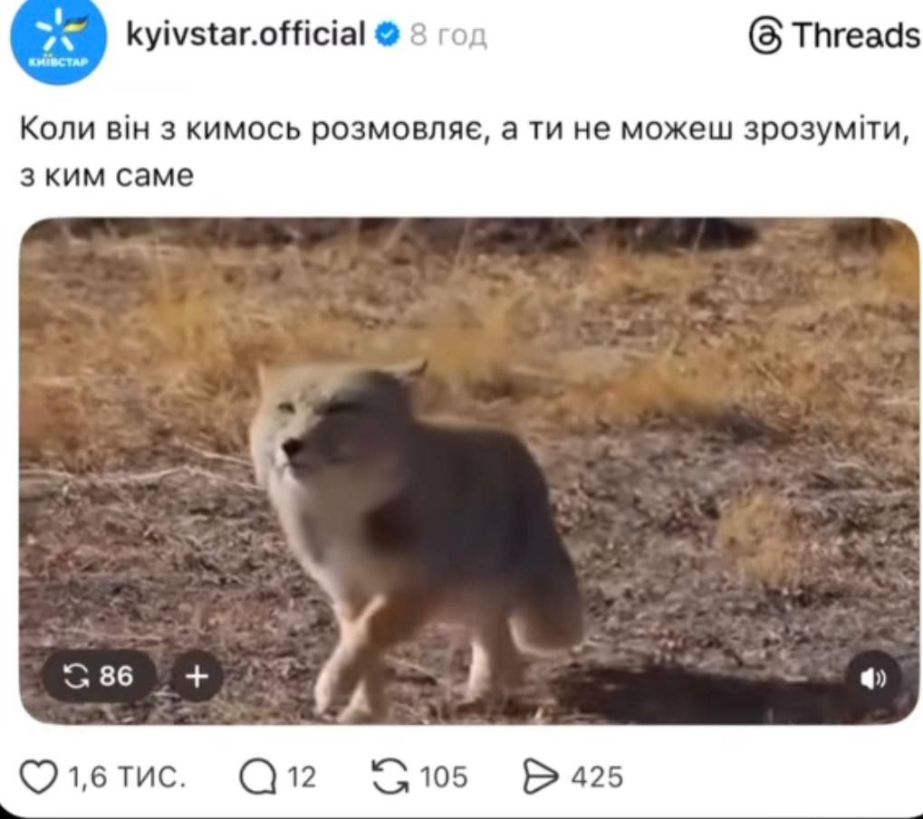 Недовольная тибетская лиса заполонила сеть, и это очень смешно: лучшие мемы - фото 848669