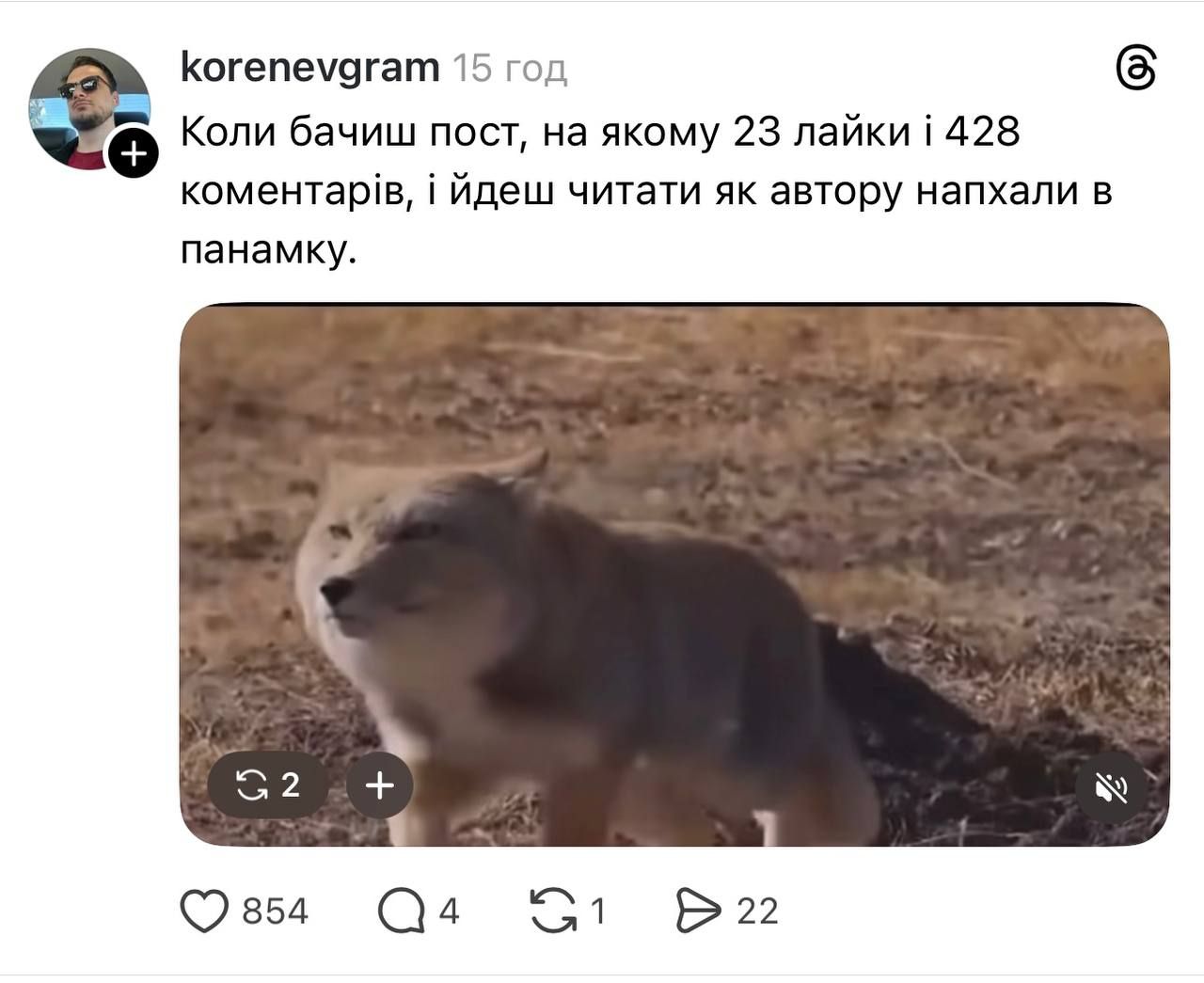 Недовольная тибетская лиса заполонила сеть, и это очень смешно: лучшие мемы - фото 848670
