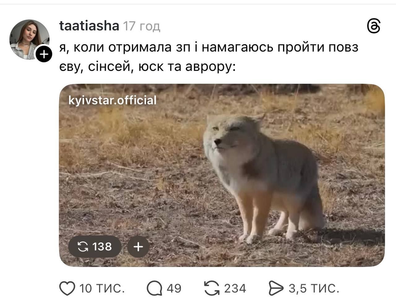 Недовольная тибетская лиса заполонила сеть, и это очень смешно: лучшие мемы - фото 848671