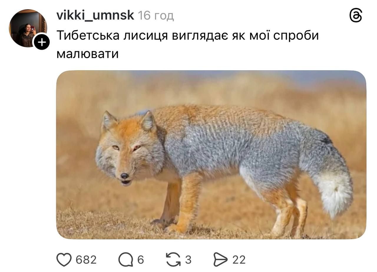 Недовольная тибетская лиса заполонила сеть, и это очень смешно: лучшие мемы - фото 848673