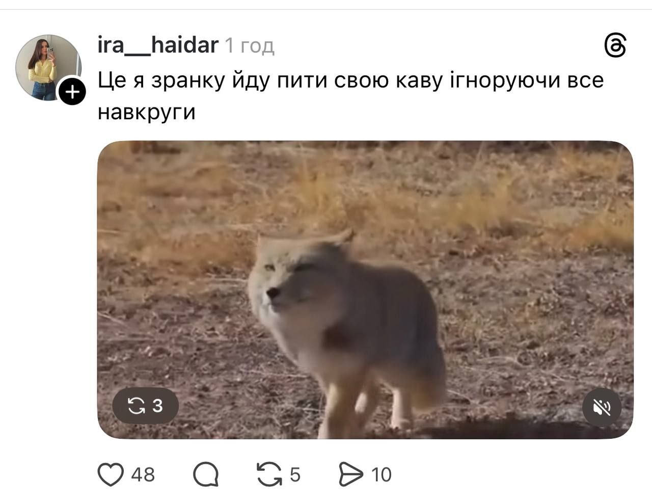 Недовольная тибетская лиса заполонила сеть, и это очень смешно: лучшие мемы - фото 848676