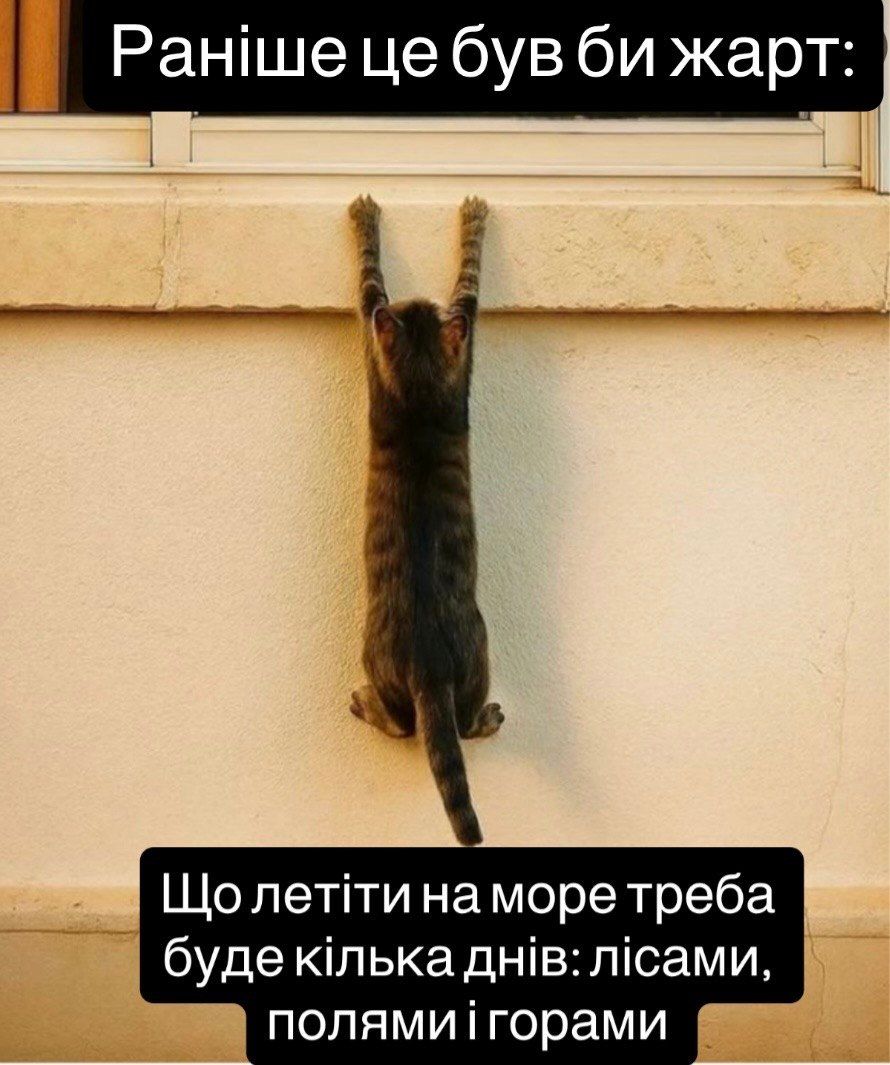 Раньше это была бы шутка: смешные коты и собаки, которые доказывают, что жизнь очень непредсказуема - 849053 Раньше это была бы шутка: смешные коты и собаки, которые доказывают, что жизнь очень непредсказуема - фото 849053