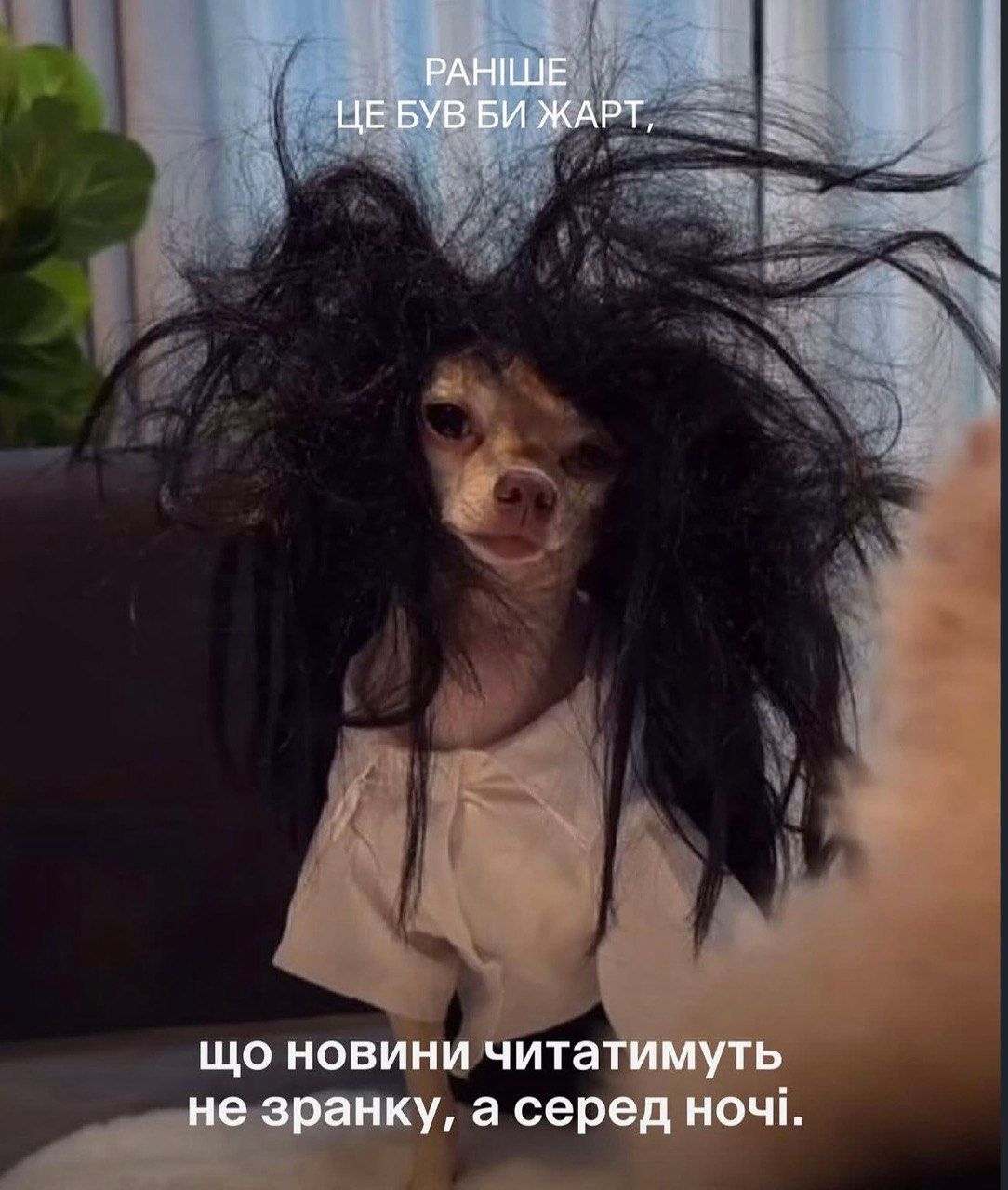 Раньше это была бы шутка: смешные коты и собаки, которые доказывают, что жизнь очень непредсказуема - 849054 Раньше это была бы шутка: смешные коты и собаки, которые доказывают, что жизнь очень непредсказуема - фото 849054