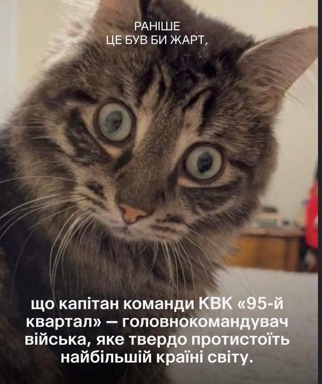 Раньше это была бы шутка: смешные коты и собаки, которые доказывают, что жизнь очень непредсказуема - 849055 Раньше это была бы шутка: смешные коты и собаки, которые доказывают, что жизнь очень непредсказуема - фото 849055