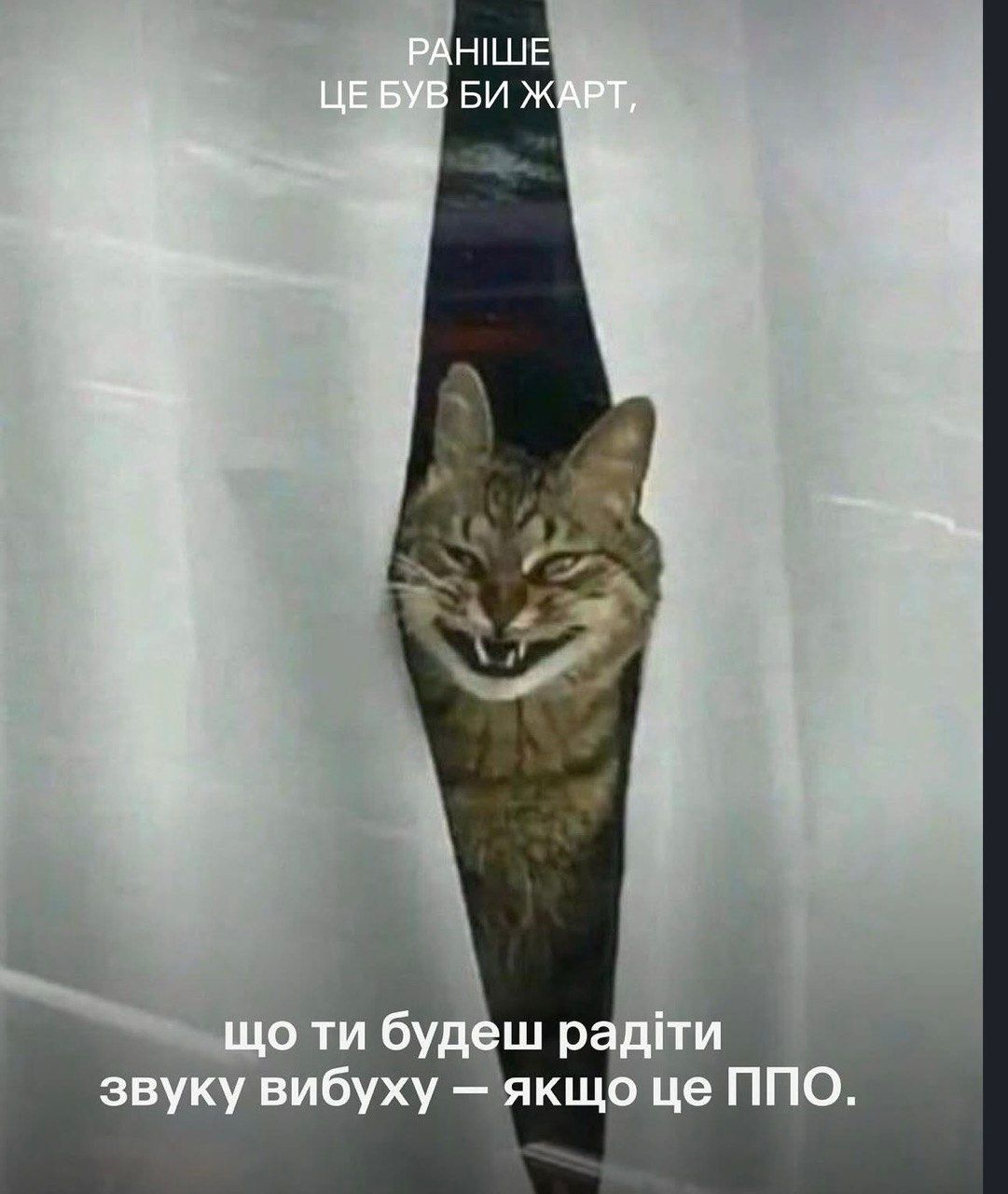 Раньше это была бы шутка: смешные коты и собаки, которые доказывают, что жизнь очень непредсказуема - 849056 Раньше это была бы шутка: смешные коты и собаки, которые доказывают, что жизнь очень непредсказуема - фото 849056