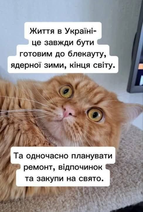 Правдивые мемы о ремонте, от которого страдают не только соседи, но и кошелек - фото 849152
