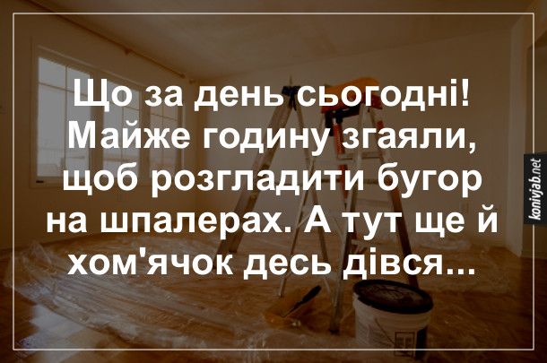 Правдивые мемы о ремонте, от которого страдают не только соседи, но и кошелек - фото 849163