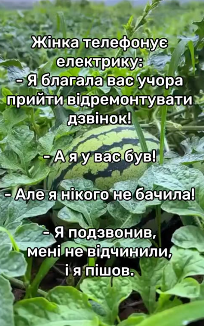 Правдивые мемы о ремонте, от которого страдают не только соседи, но и кошелек - фото 849168