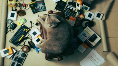 Меми про роботу у п'ятницю: час тікати, бігти та не озиратись