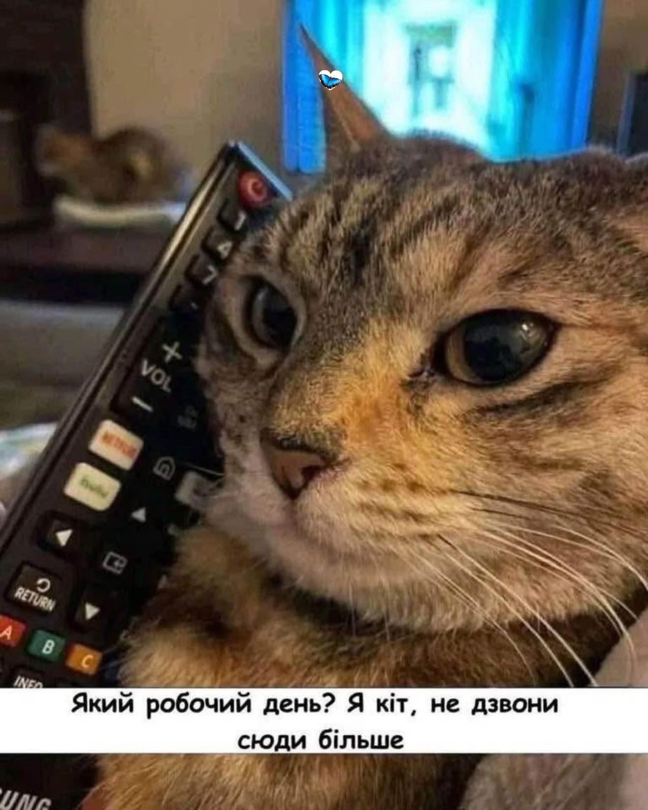 Мемы о работе в пятницу: время бежать, бежать и не оглядываться - фото 849583