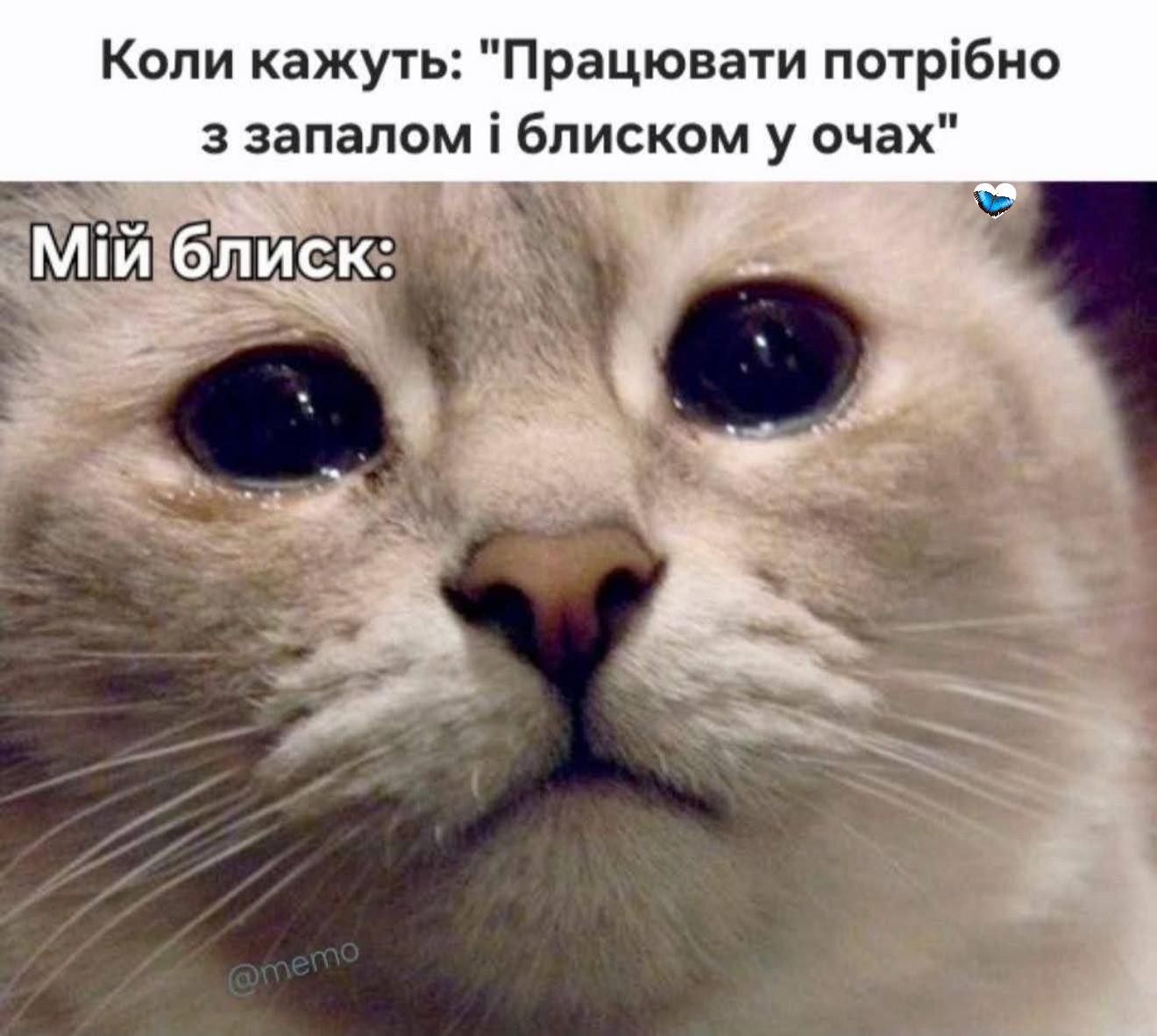 Мемы о работе в пятницу: время бежать, бежать и не оглядываться - фото 849586