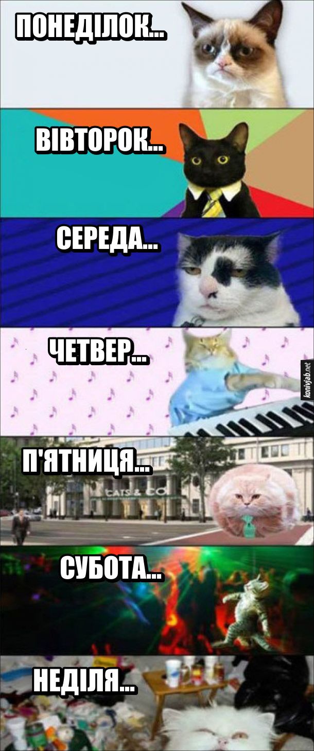 Мемы о работе в пятницу: время бежать, бежать и не оглядываться - фото 849587