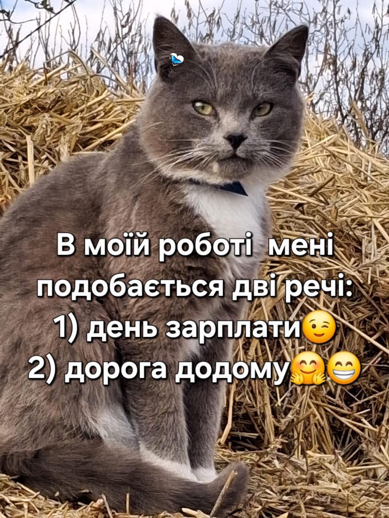 Мемы о работе в пятницу: время бежать, бежать и не оглядываться - фото 849588