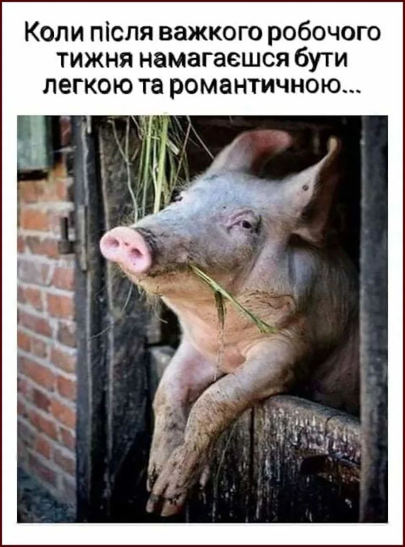 Мемы о работе в пятницу: время бежать, бежать и не оглядываться - фото 849593