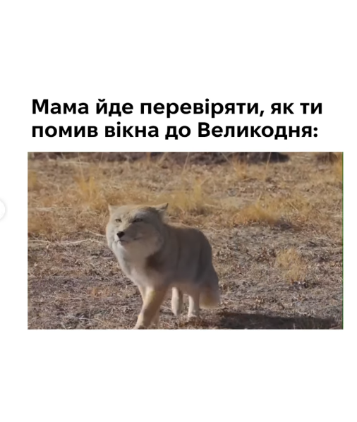 Мемы о Пасхе 2026: дубайская суши-паска со вкусом лабубу, паскачино и другой пасхальный абсурд - фото 849695