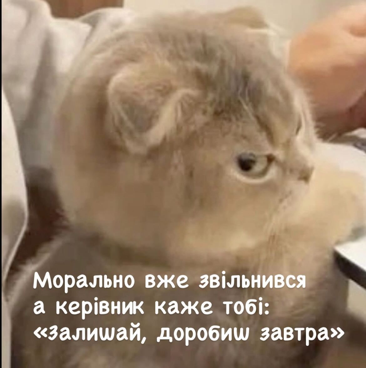 Мемы о работе в понедельник: когда кавуська не помогает терпеть эти адские муки - фото 850633