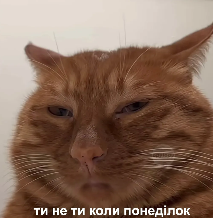 Мемы о работе в понедельник: когда кавуська не помогает терпеть эти адские муки - фото 850638