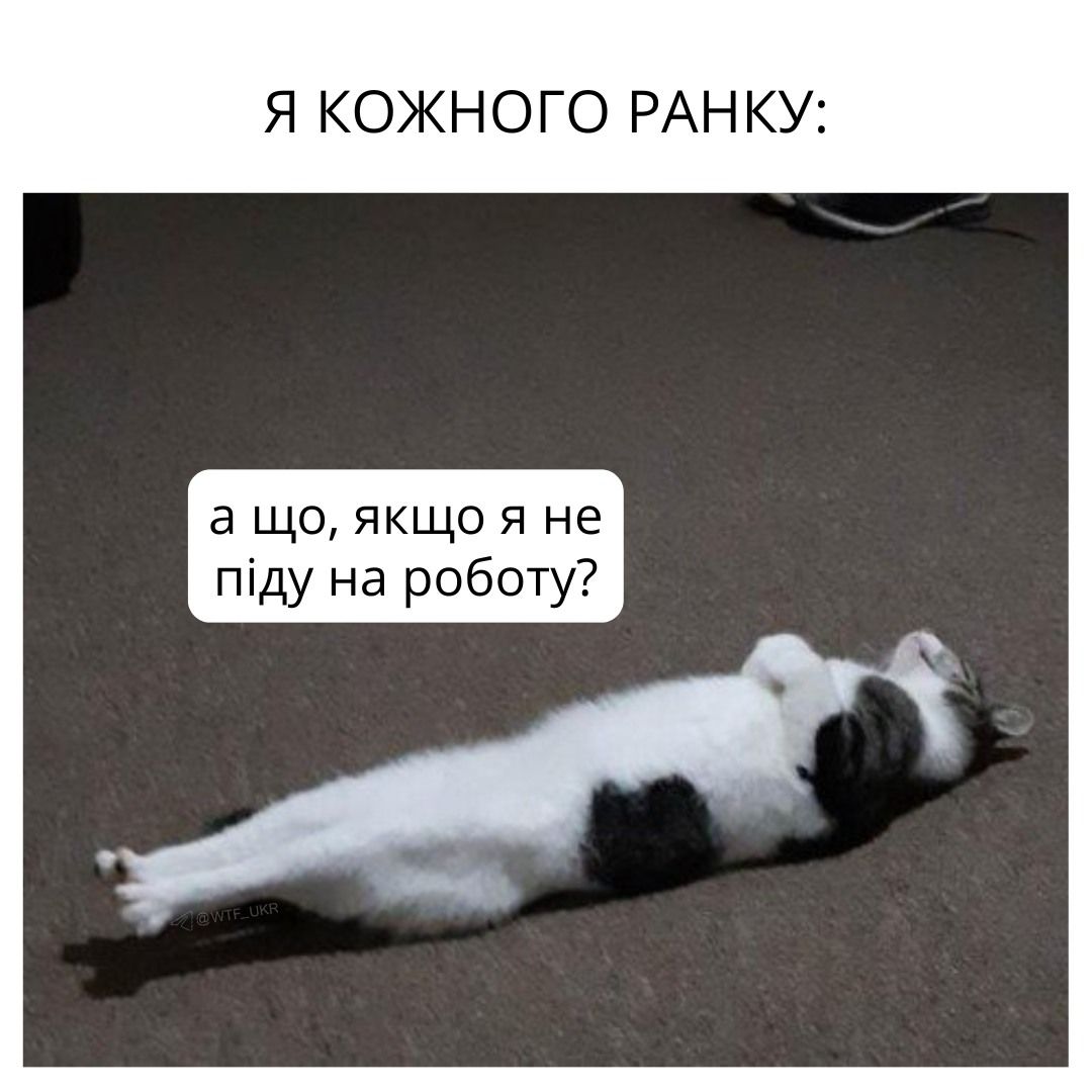 Мемы о работе в понедельник: когда кавуська не помогает терпеть эти адские муки - фото 850645