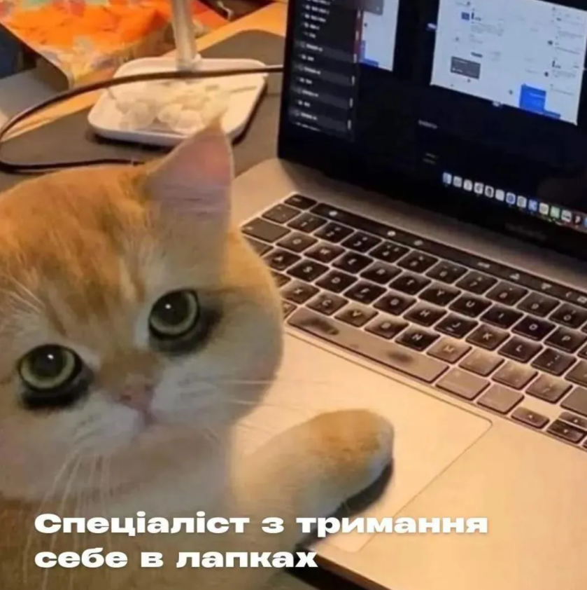 Мемы о работе в понедельник: когда кавуська не помогает терпеть эти адские муки - фото 850647