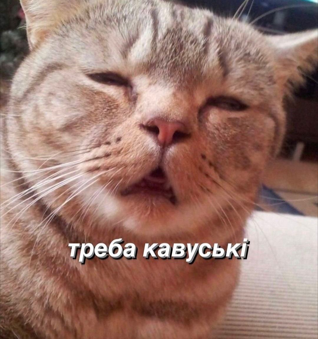 Мемы о работе в понедельник: когда кавуська не помогает терпеть эти адские муки - фото 850648