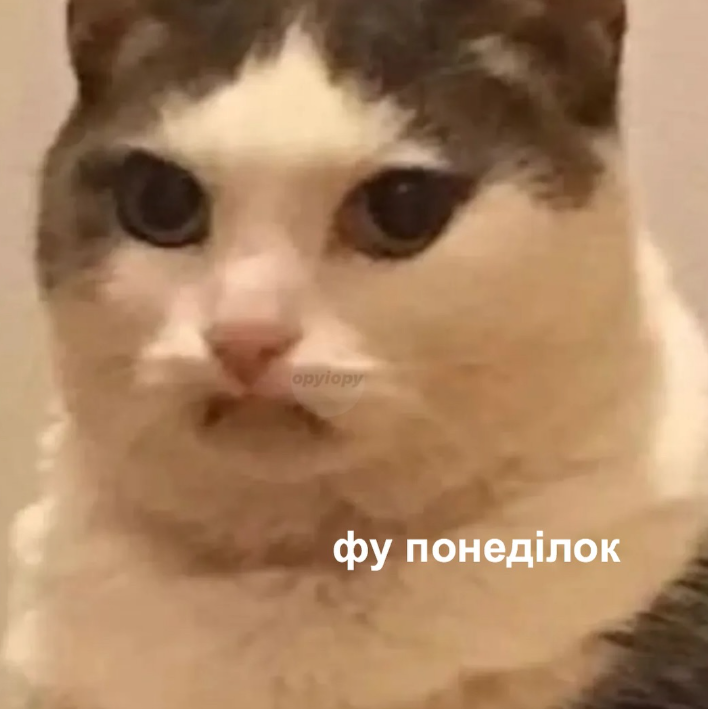 Мемы о работе в понедельник: когда кавуська не помогает терпеть эти адские муки - фото 850651
