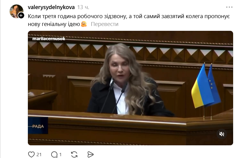 Меми про дохід Юлія Тимошенко - 851832 Меми про дохід Юлія Тимошенко - фото 851832