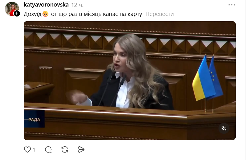 Меми про дохід Юлія Тимошенко - 851842 Меми про дохід Юлія Тимошенко - фото 851842