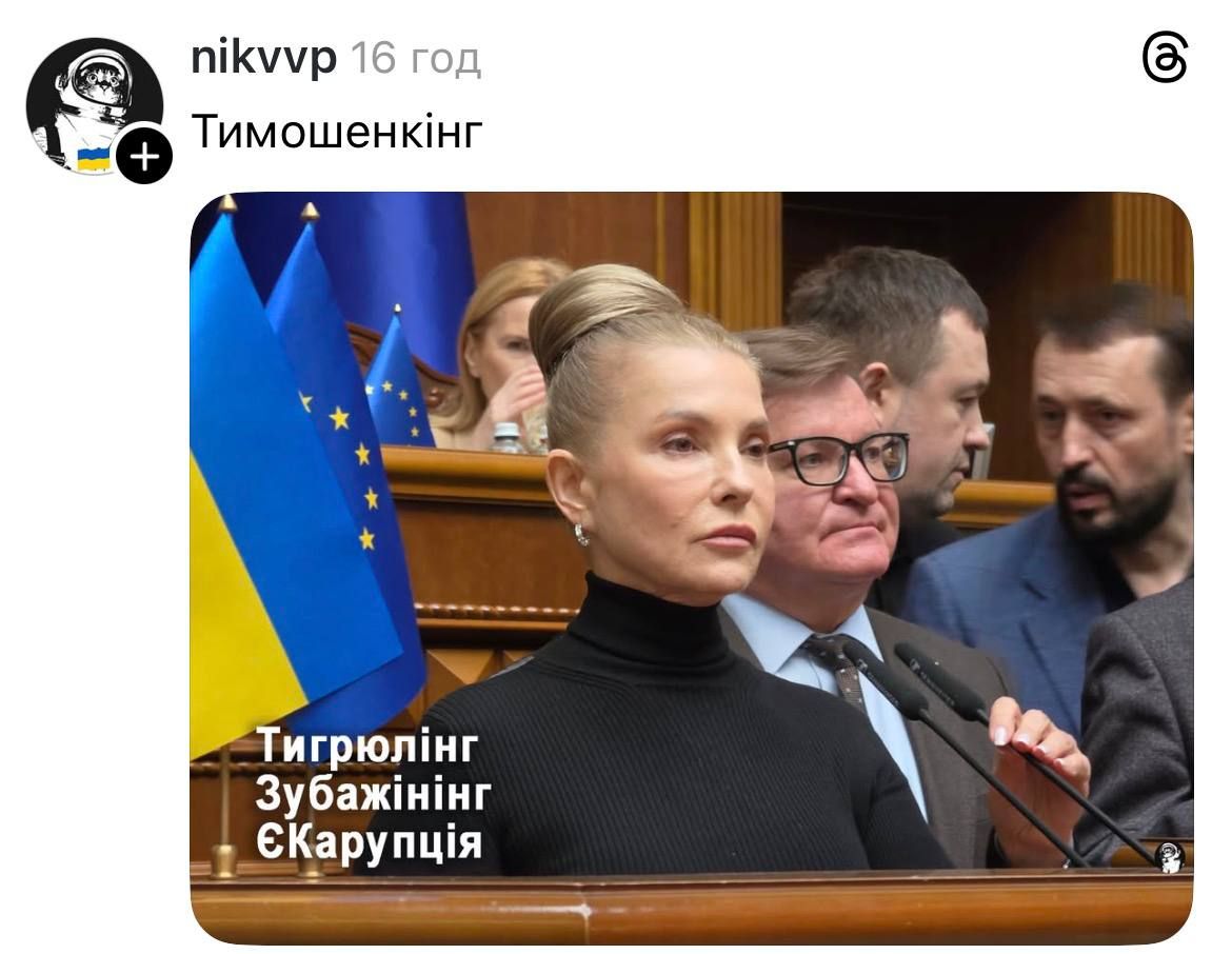 Меми про дохід Юлія Тимошенко - 851877 Меми про дохід Юлія Тимошенко - фото 851877