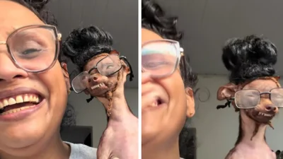 Це істерика: собака, переодягнений у свою господиню, розсмішив інтернет до сліз