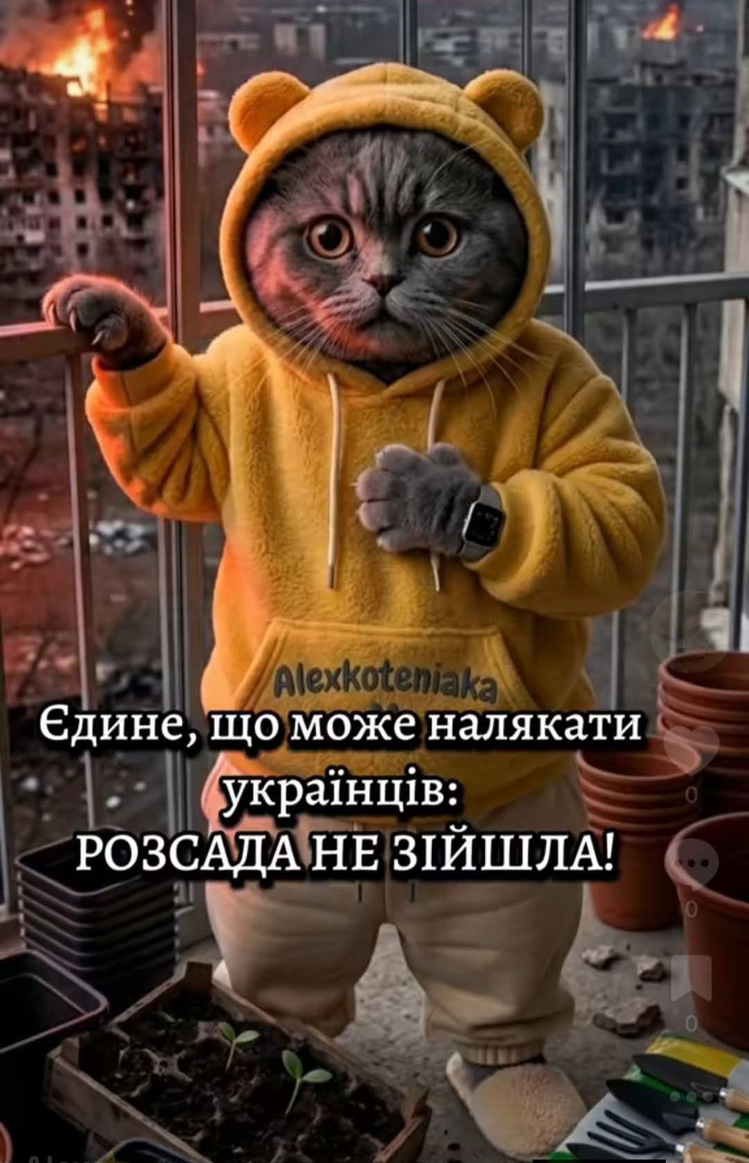 Внутренняя бабушка требует сажать: мемы о рассаде, которая неожиданно пришла в нашу жизнь - 852008 Внутренняя бабушка требует сажать: мемы о рассаде, которая неожиданно пришла в нашу жизнь - фото 852008