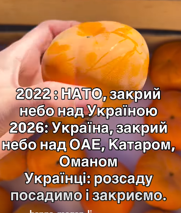 Внутренняя бабушка требует сажать: мемы о рассаде, которая неожиданно пришла в нашу жизнь - 852011 Внутренняя бабушка требует сажать: мемы о рассаде, которая неожиданно пришла в нашу жизнь - фото 852011