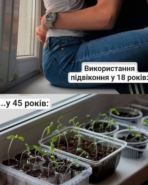 Внутренняя бабушка требует сажать: мемы о рассаде, которая неожиданно пришла в нашу жизнь - 852013 Внутренняя бабушка требует сажать: мемы о рассаде, которая неожиданно пришла в нашу жизнь - фото 852013