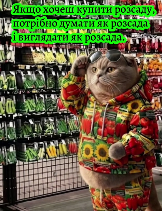 Внутренняя бабушка требует сажать: мемы о рассаде, которая неожиданно пришла в нашу жизнь - 852018 Внутренняя бабушка требует сажать: мемы о рассаде, которая неожиданно пришла в нашу жизнь - фото 852018