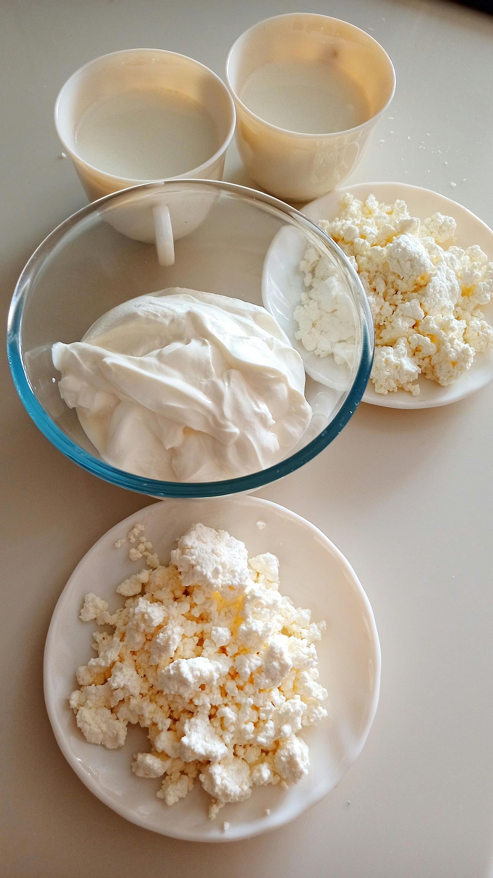 Обезжиренные vs жирные: какие молочные продукты полезнее - 852649 Обезжиренные vs жирные: какие молочные продукты полезнее - фото 852649