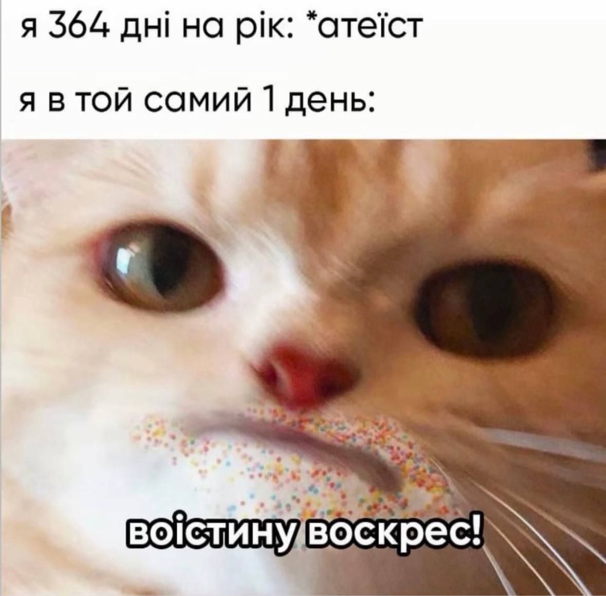 Мемы про Пасху и о том, как классно прошел праздник - 852867 Мемы про Пасху и о том, как классно прошел праздник - фото 852867